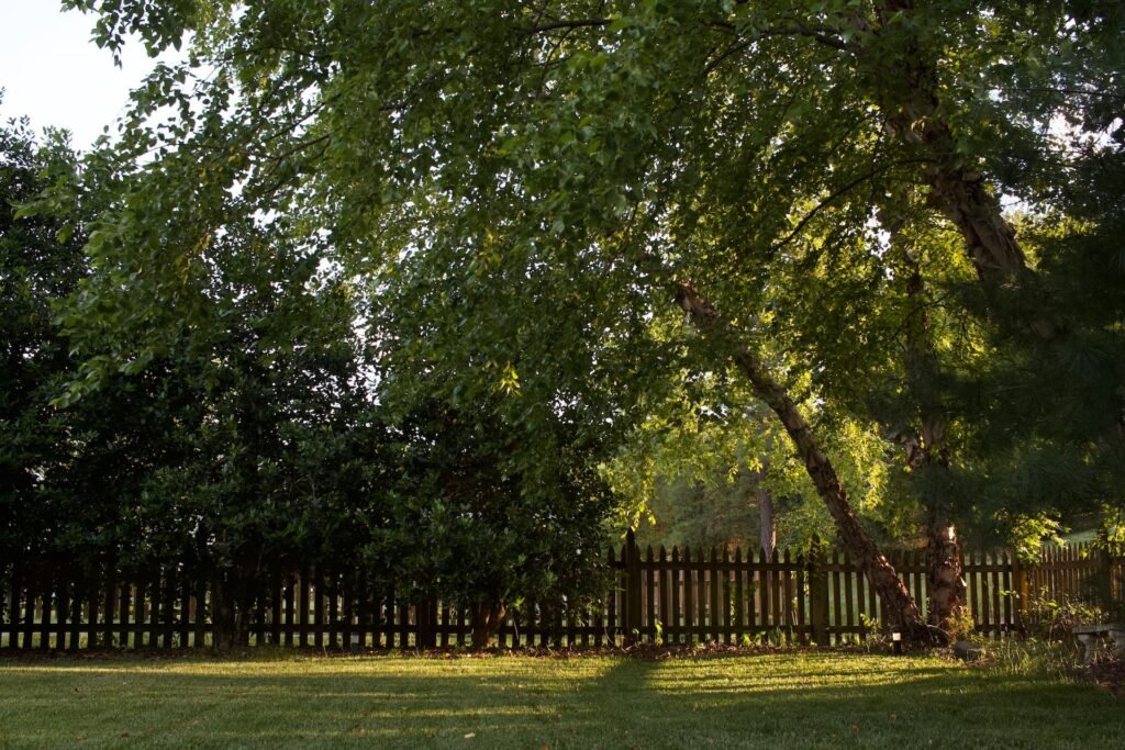 How To Reduce Highway Noise In Your Backyard? Reduce Highway Noise in Your Backyard